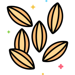 Cumin Powder